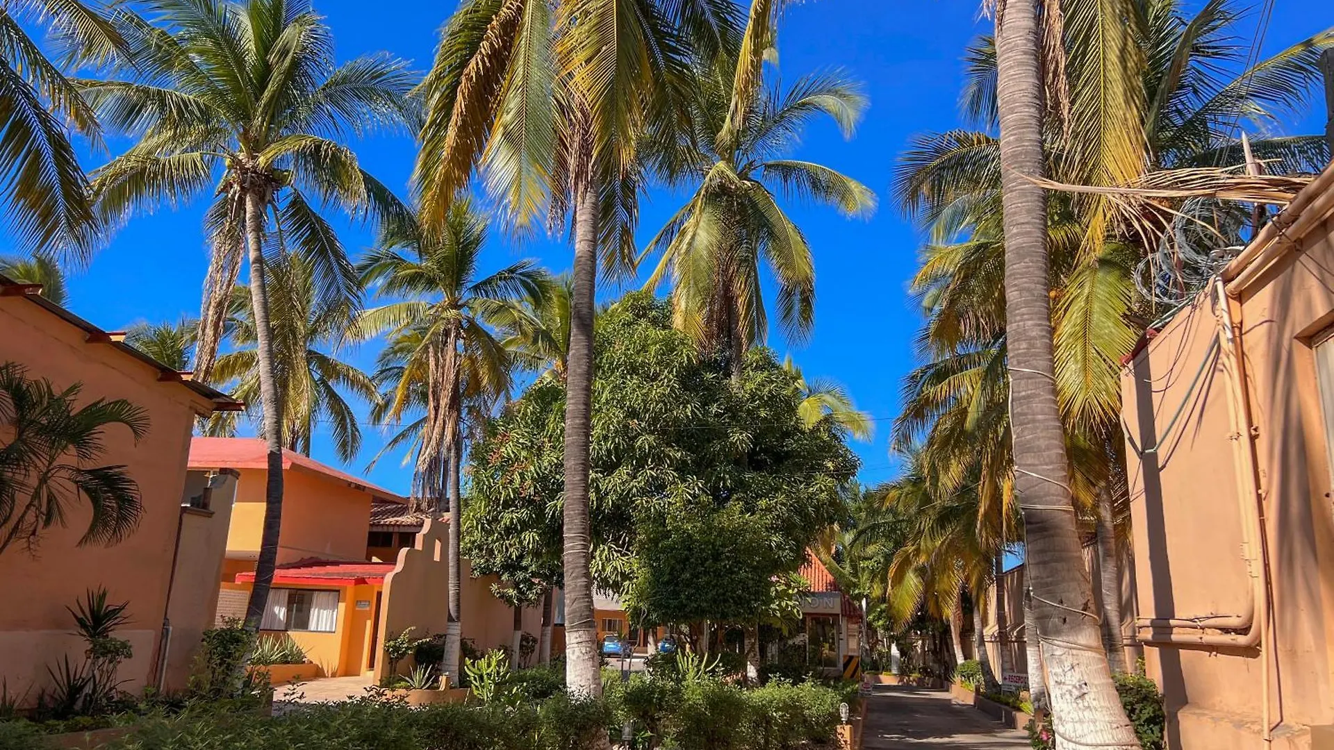 Hotel Oasis location